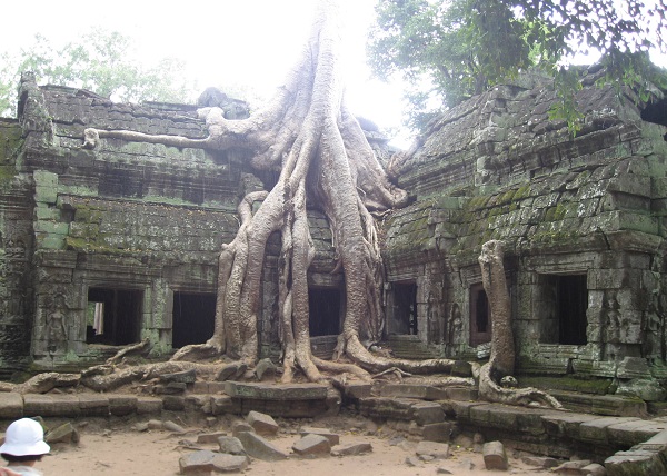 Top 10 bezienswaardigheden Siem Reap: Ta Prohm tempel