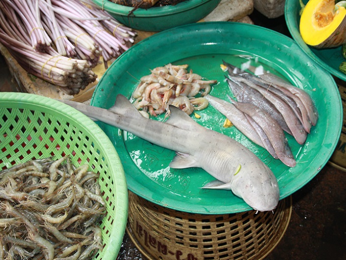 Haai op de markt in Cambodja