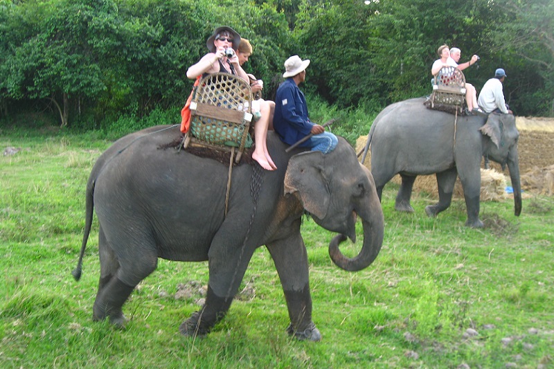 Cambodja toerisme, olifant rijden