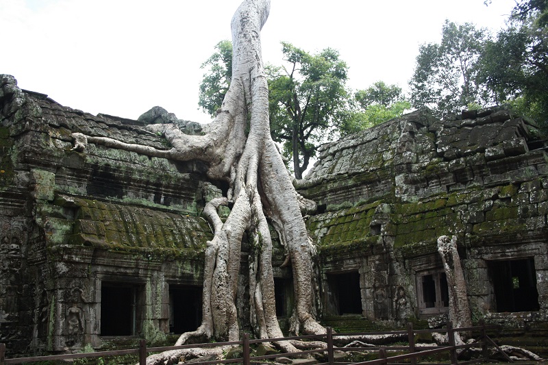 Het Angkor rijk in Cambodja, Ta Prohm hoofd tempel